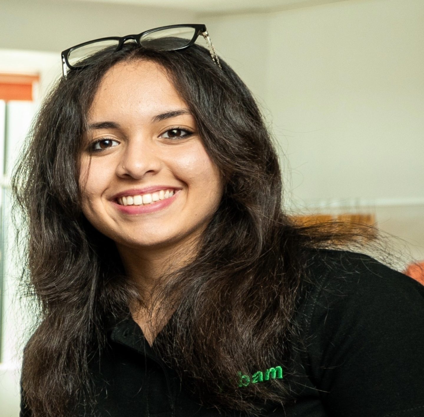 BAM - Thifani Paiva – Digital Project Solutions Apprentice